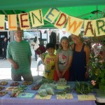 Allen Edwards Primary